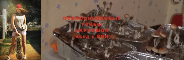 а пвп мука Невьянск