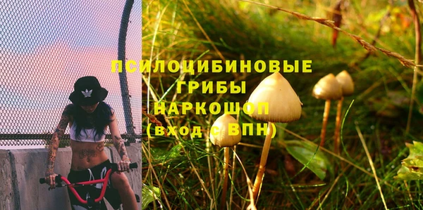 прущие крисы Сатка