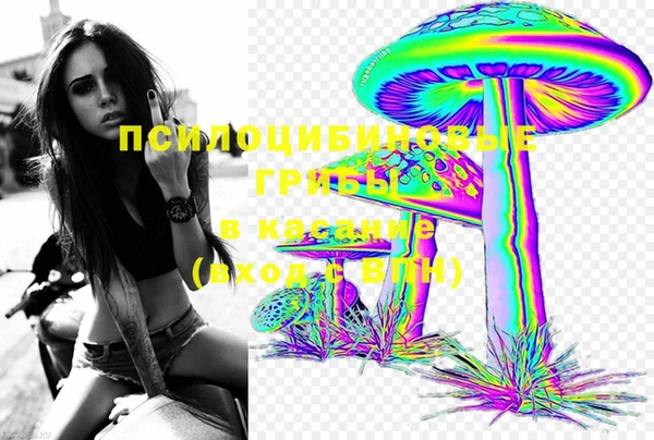 мяу мяу мука Саяногорск
