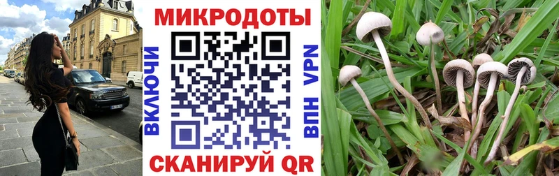 Псилоцибиновые грибы мухоморы  продажа наркотиков  Назрань 